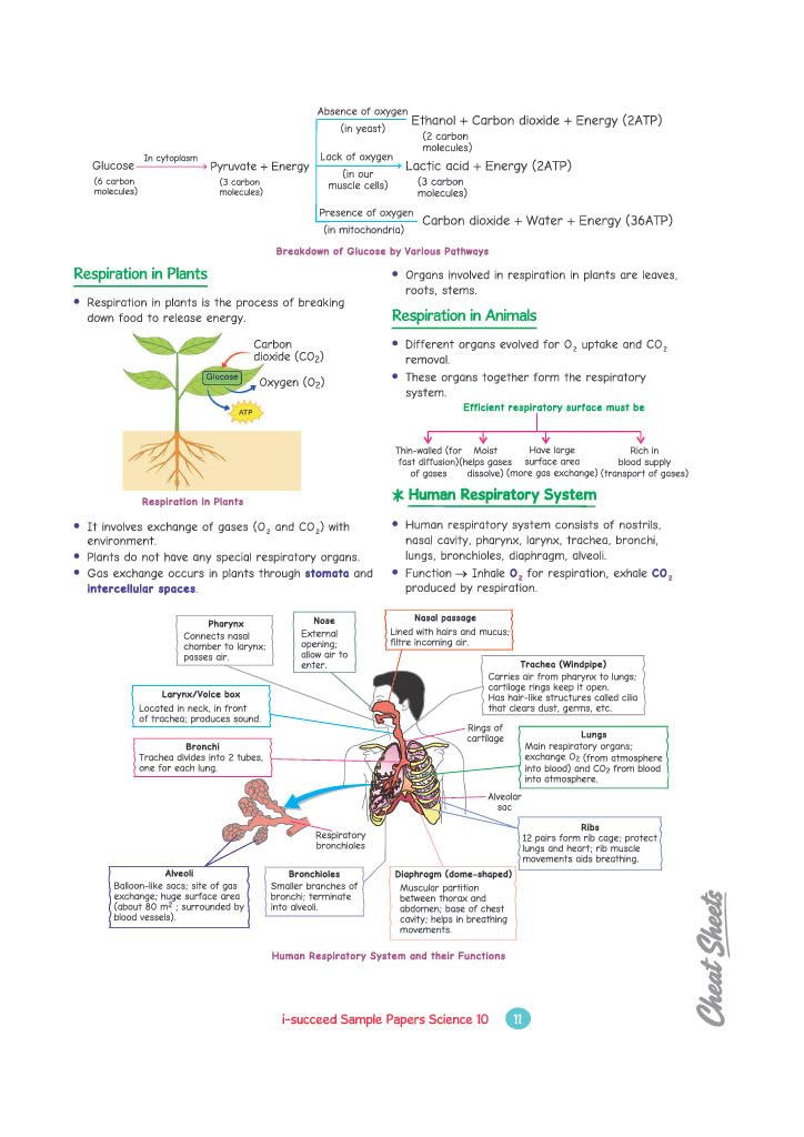 Arihant i-Succeed CBSE Sample Papers 2027 Class 10 Science | 15 Sample Question Papers | Colour-Coded Revision Cheat Sheets, Toppers Copy with Expert Insights | Free Super Power Kit