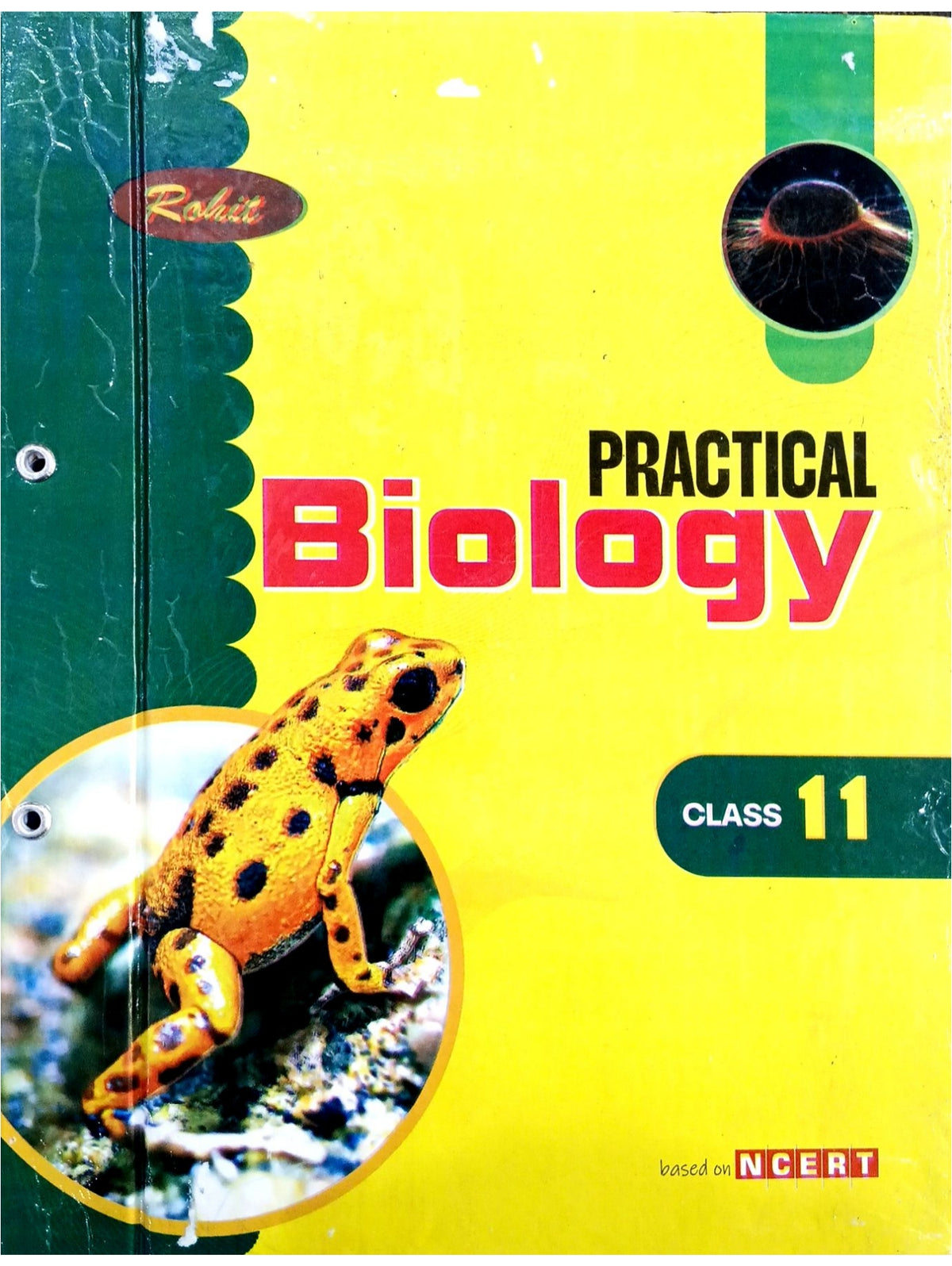Rohit Lab Manual of Biology for Class 11 | Latest Edition for CBSE Boards Practical Examinations